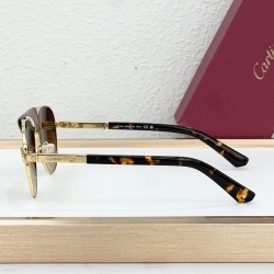 Cartier Glasses