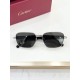 Cartier Glasses