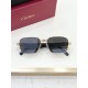Cartier Glasses