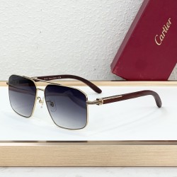 Cartier Glasses