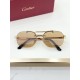 Cartier Glasses