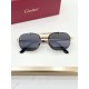 Cartier Glasses