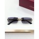 Cartier Glasses