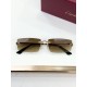 Cartier Glasses