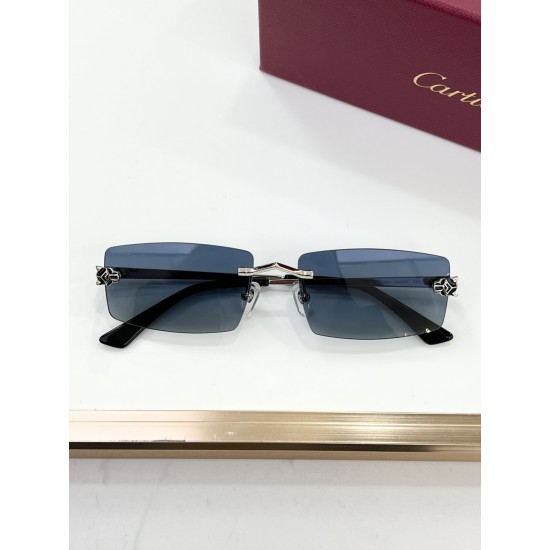 Cartier Glasses
