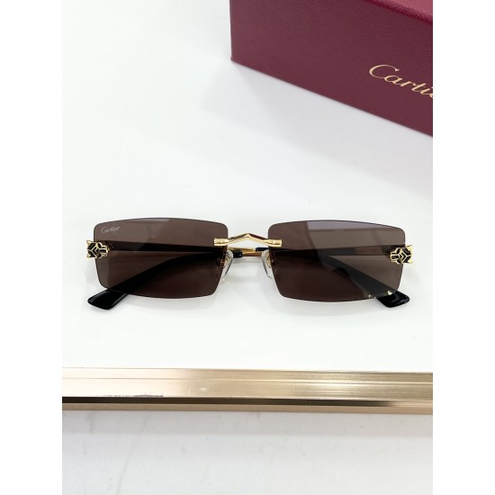 Cartier Glasses