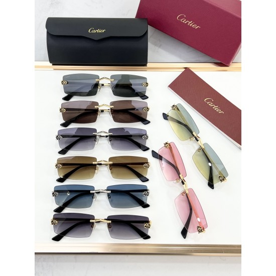 Cartier Glasses