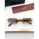 Cartier Glasses