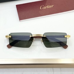Cartier Glasses