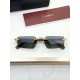 Cartier Glasses