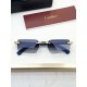 Cartier Glasses