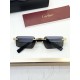 Cartier Glasses