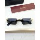 Cartier Glasses
