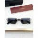 Cartier Glasses