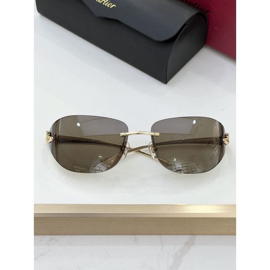 Cartier Glasses