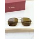Cartier Glasses