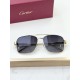 Cartier Glasses