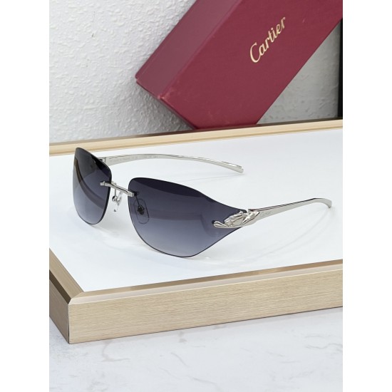 Cartier Glasses