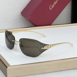 Cartier Glasses