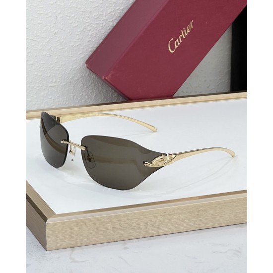 Cartier Glasses