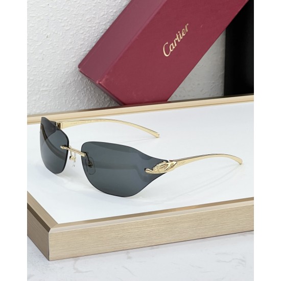 Cartier Glasses