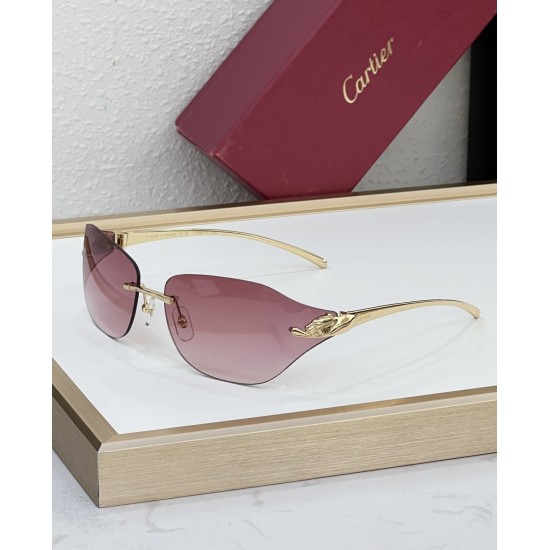 Cartier Glasses