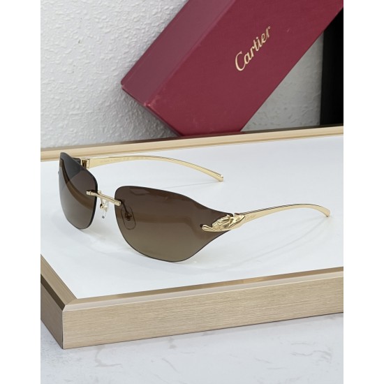 Cartier Glasses