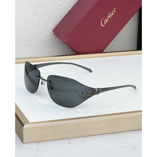 Cartier Glasses