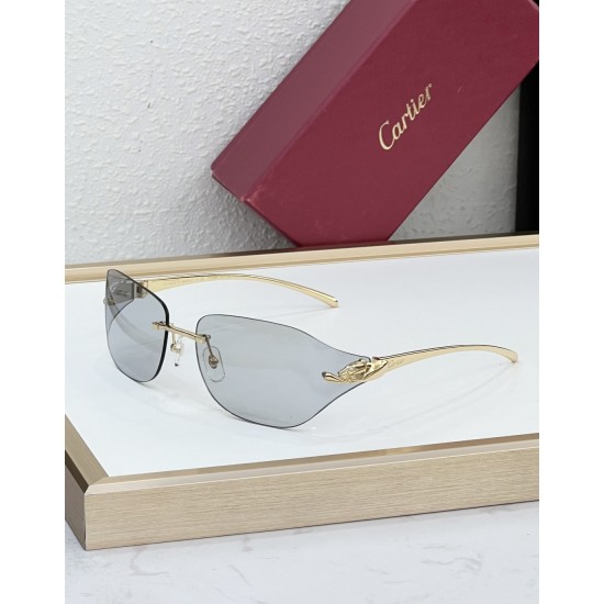 Cartier Glasses