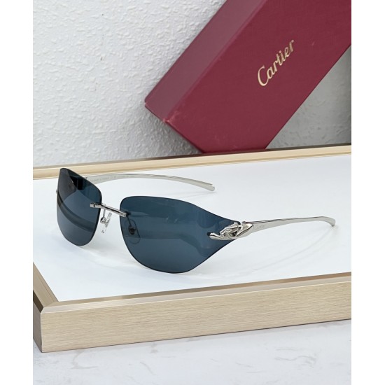 Cartier Glasses