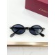 Cartier Glasses