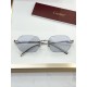 Cartier Glasses