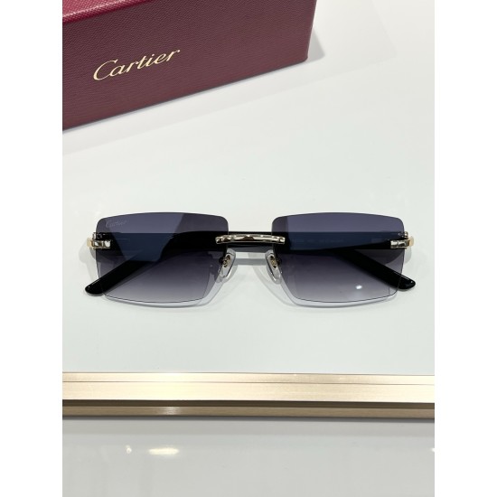 Cartier Glasses