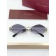 Cartier Glasses
