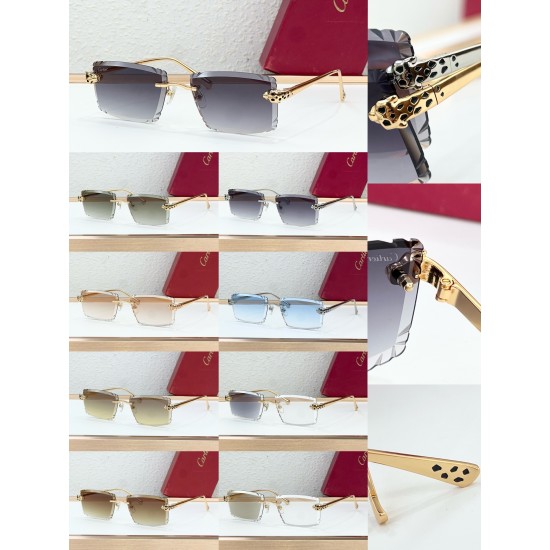 Cartier Glasses