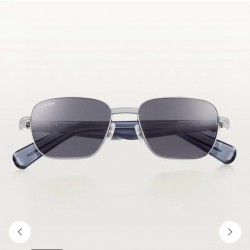 Cartier Glasses