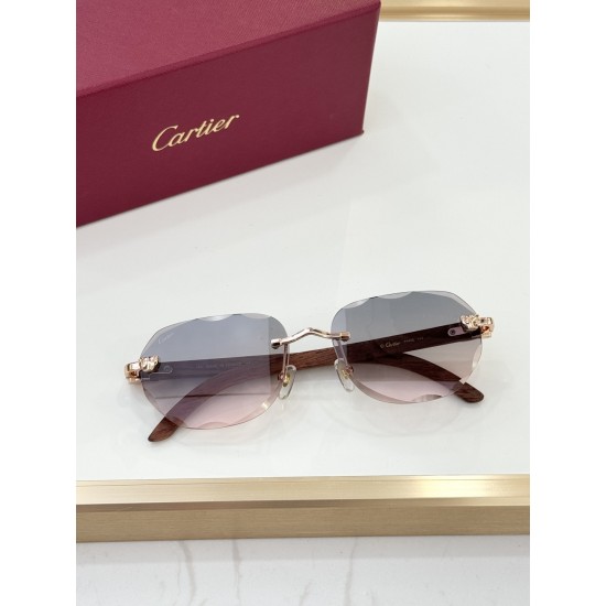 Cartier Glasses
