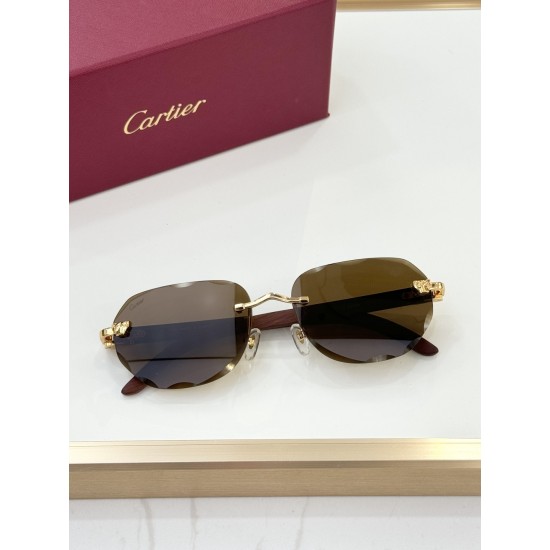 Cartier Glasses