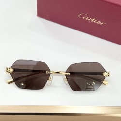 Cartier Glasses