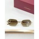 Cartier Glasses