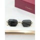 Cartier Glasses