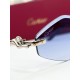 Cartier Glasses