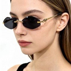 Cartier Glasses