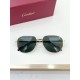 Cartier Glasses