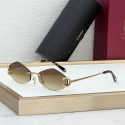Cartier Glasses