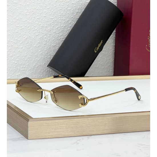 Cartier Glasses
