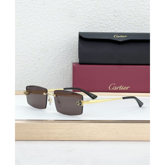 Cartier Glasses