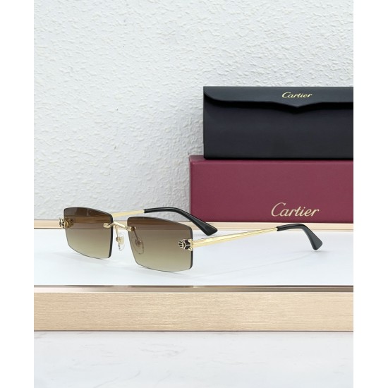 Cartier Glasses