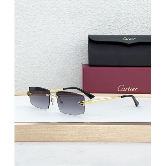 Cartier Glasses