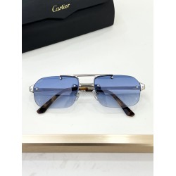 Cartier Glasses